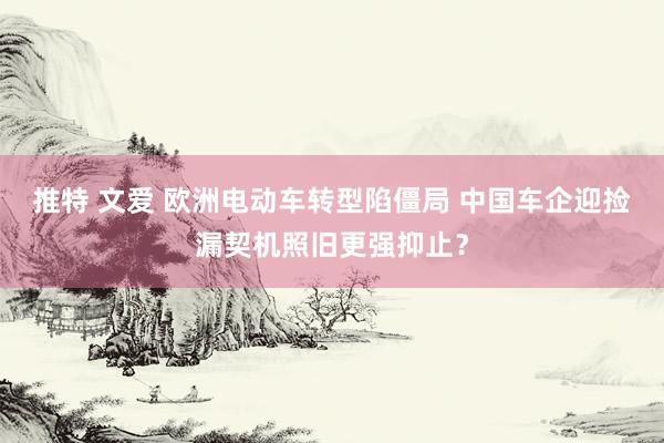 推特 文爱 欧洲电动车转型陷僵局 中国车企迎捡漏契机照旧更强抑止？