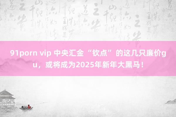 91porn vip 中央汇金 “钦点” 的这几只廉价gu，或将成为2025年新年大黑马！