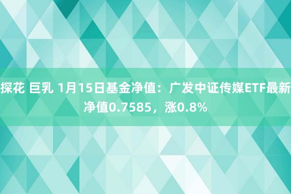 探花 巨乳 1月15日基金净值：广发中证传媒ETF最新净值0.7585，涨0.8%