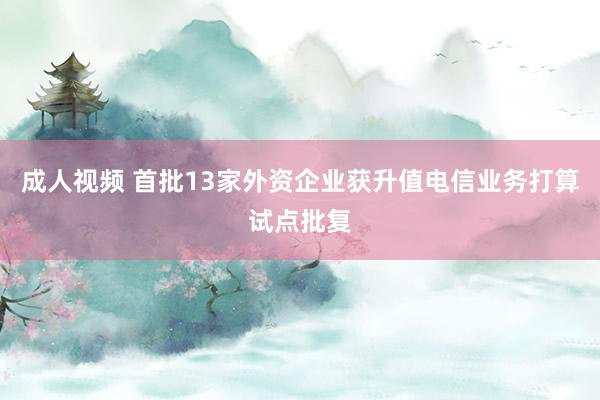 成人视频 首批13家外资企业获升值电信业务打算试点批复