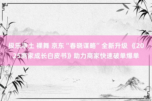 极乐净土 裸舞 京东“春晓谋略”全新升级 《2025商家成长白皮书》助力商家快速破单爆单