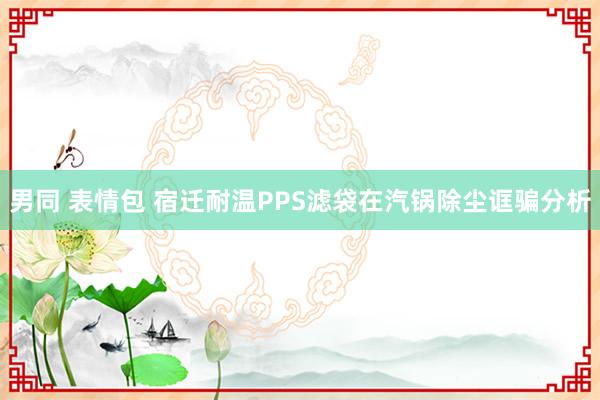 男同 表情包 宿迁耐温PPS滤袋在汽锅除尘诓骗分析