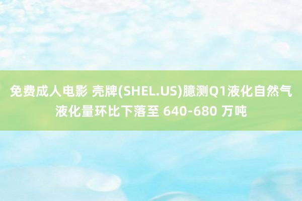 免费成人电影 壳牌(SHEL.US)臆测Q1液化自然气液化量环比下落至 640-680 万吨